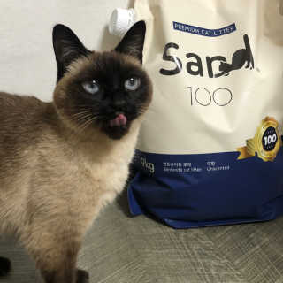 [샌드백] 프리미엄 벤토나이트 고양이모래 — 5점을 준 리뷰어가 2020년 12월 올린 사용 사진