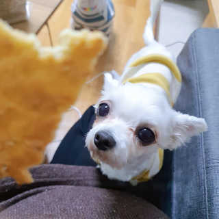 나린마마님이 올린 리뷰 사진 3