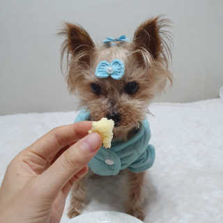 솜희님이 올린 리뷰 사진 3
