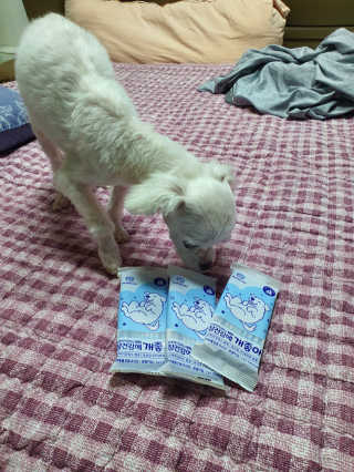 쮸동비님이 올린 리뷰 사진 3