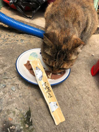 유영경님이 올린 리뷰 사진 2