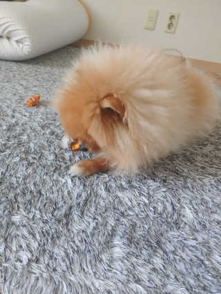 max님이 올린 리뷰 사진 1