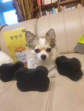 나나맘님이 올린 리뷰 사진 1