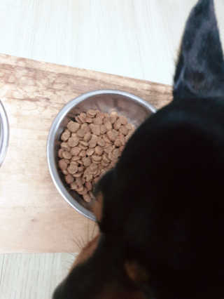 도도님이 올린 리뷰 사진 2