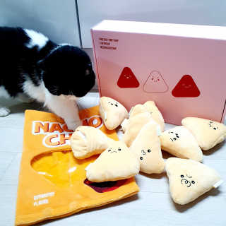 고고고님이 올린 리뷰 사진 2