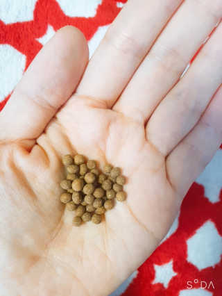 앙칼진 냔님이 올린 리뷰 사진 3