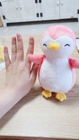 더샵토이 핸드메이드 동물 펭귄 애착 봉제인형 — 5점을 준 리뷰어가 2020년 7월 올린 사용 사진