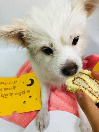 Lily님이 올린 리뷰 사진 4
