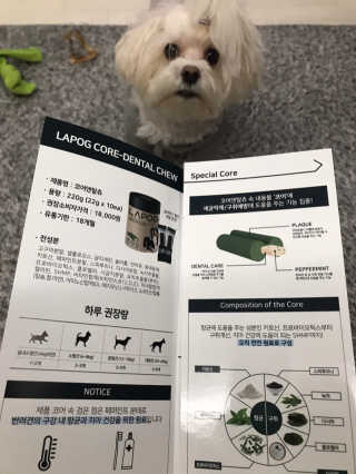 [푸디웜] 라포그 코어덴탈츄 그린 (10개입) — 5점을 준 리뷰어가 2020년 10월 올린 사용 사진