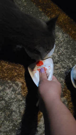 tajofly님이 올린 리뷰 사진 4