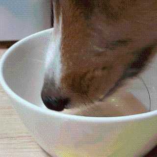healingling님이 올린 리뷰 사진 2