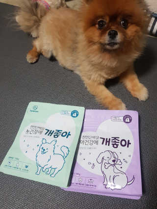 My Pet Care 천연단백질 치아건강에 개좋아 — 5점을 준 리뷰어가 2020년 11월 올린 사용 사진