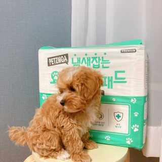 a_yom2님이 올린 리뷰 사진 4