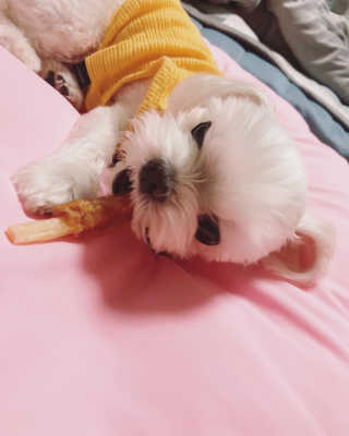 뚜덩맘님이 올린 리뷰 사진 3