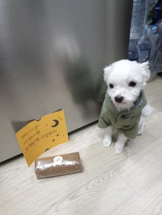 박미진님이 올린 리뷰 사진 2