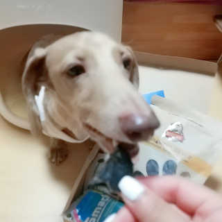 링고엄마님이 올린 리뷰 사진 2