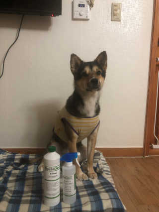 윤도랑님이 올린 리뷰 사진 1