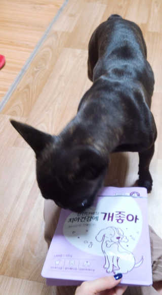 My Pet Care 천연단백질 치아건강에 개좋아 — 5점을 준 리뷰어가 2020년 11월 올린 사용 사진
