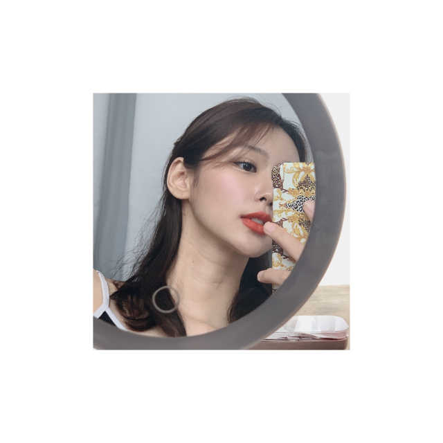 디블랑 비건 플럼핑스틱 리뷰 사진