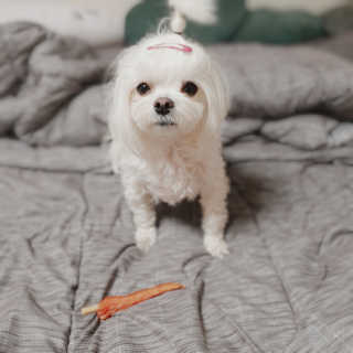 리쩡님이 올린 리뷰 사진 2
