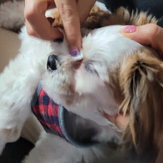 서자매파님이 올린 리뷰 사진 3
