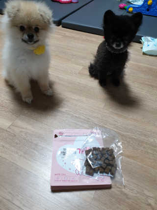 My Pet Care 천연단백질 관절건강에 개좋아 — 5점을 준 리뷰어가 2020년 11월 올린 사용 사진