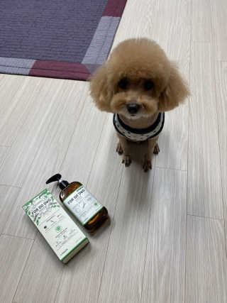 선물사랑맘님이 올린 리뷰 사진 3