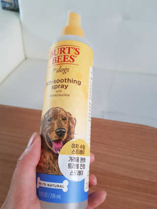 꼬냥꼬냥님이 올린 리뷰 사진 3
