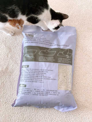 겟플렉스 켓플렉스 캣츠룸BS-1 고양이모래 4kg — 3점을 준 리뷰어가 2020년 12월 올린 사용 사진
