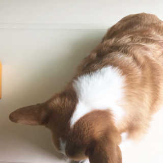 룰루랄라님이 올린 리뷰 사진 4