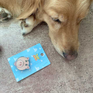 아보카도올리브님이 올린 리뷰 사진 1