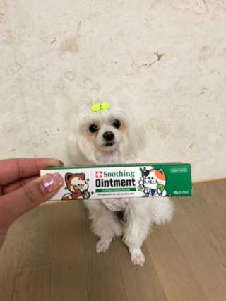 갱티치님이 올린 리뷰 사진 1