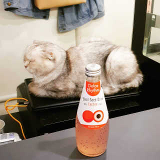 주혀니님이 올린 리뷰 사진 2