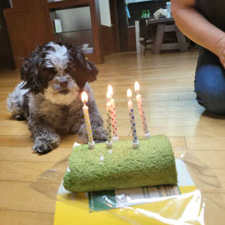 가횽님이 올린 리뷰 사진 1