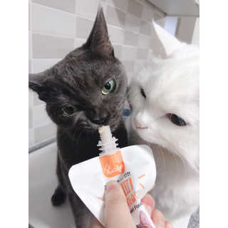뿅아리님이 올린 리뷰 사진 4