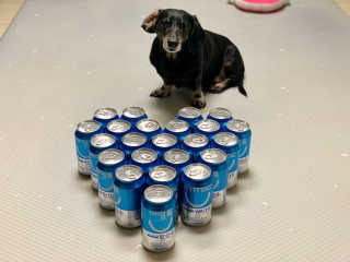 콩이누나님이 올린 리뷰 사진 2