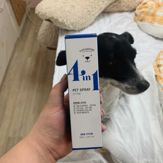 강아지스토리 포인원 모이스처 미스트 100ml — 5점을 준 리뷰어가 2020년 6월 올린 사용 사진
