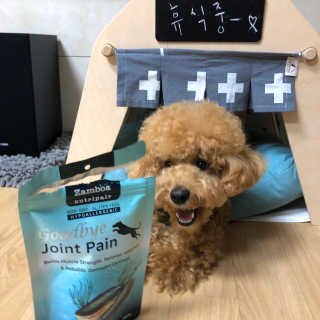 앙버터뉴나님이 올린 리뷰 사진 1