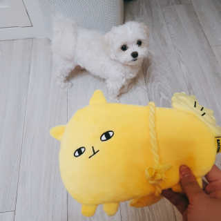 라임님이 올린 리뷰 사진 1