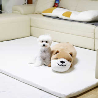 진수창훈님이 올린 리뷰 사진 3
