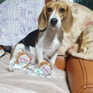 beaglelove님이 올린 리뷰 사진 1