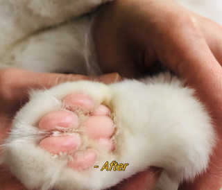 금동어멈님이 올린 리뷰 사진 4
