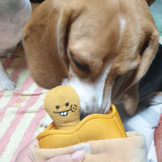 beaglelove님이 올린 리뷰 사진 3