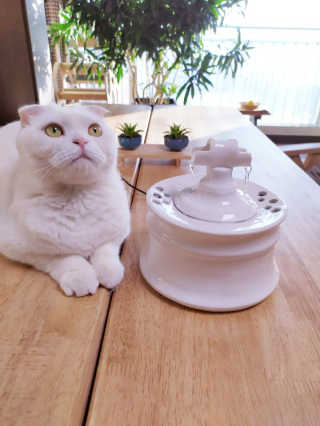 좋아님이 올린 리뷰 사진 1