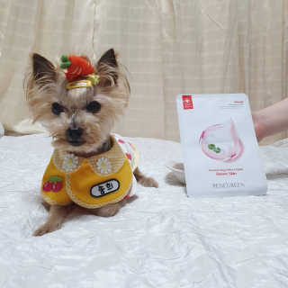 솜희님이 올린 리뷰 사진 2