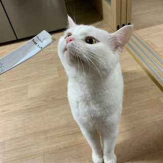 유짱님이 올린 리뷰 사진 3