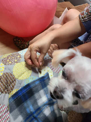 마리아빠님이 올린 리뷰 사진 3