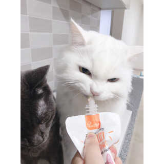 뿅아리님이 올린 리뷰 사진 3