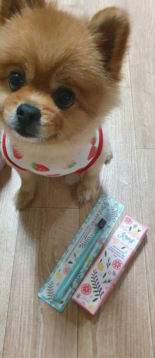ruler.zero님이 올린 리뷰 사진 1