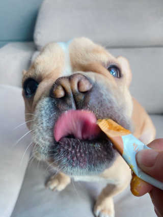 이은향님이 올린 리뷰 사진 4